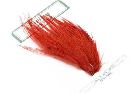 Du tilføjede <b><u>Ewing 10er & 12er Trockenfliegen-Minipackung Ingwer</u></b> til kurven.