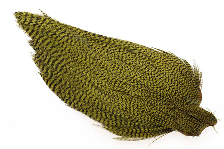 Du tilføjede <b><u>Ewing #1 Grizzly Cape Olive</u></b> til kurven.