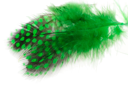 Du tilføjede <b><u>Perlhuhn - Grünes Hochlandperlhuhn</u></b> til kurven.
