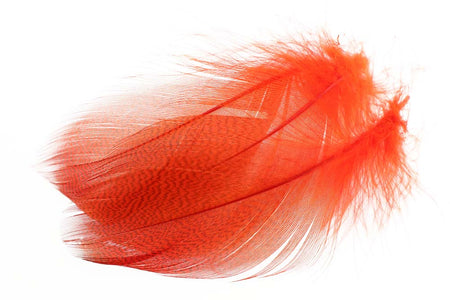 Du tilføjede <b><u>Große ausgewählte Stockentenflanke – Fl. Fire Orange</u></b> til kurven.