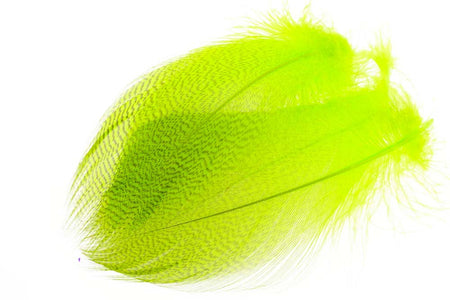 Du tilføjede <b><u>Große ausgewählte Stockentenflanke - Fl. Chartreuse</u></b> til kurven.