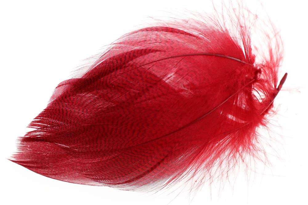 Mallard Duck Flank Large Selected - Red