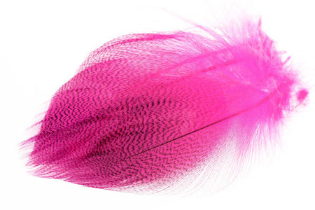 Du tilføjede <b><u>Großes ausgewähltes Stockentenflankenfleisch - Fl. Rosa</u></b> til kurven.