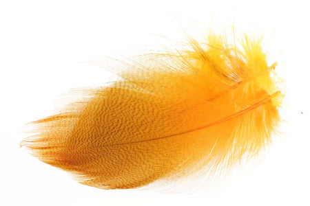 Du tilføjede <b><u>Große ausgewählte Stockentenflanke - Fl. Orange</u></b> til kurven.