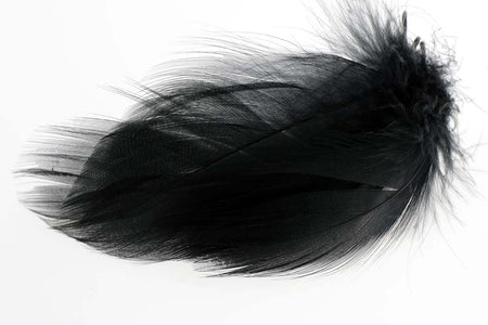 Du tilføjede <b><u>Stockentenflanke, groß, ausgewählt - schwarz</u></b> til kurven.