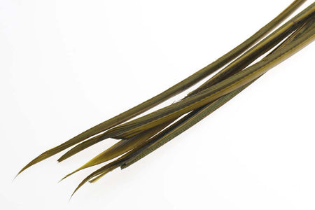 Du tilføjede <b><u>Truthahn-Biots - Olive</u></b> til kurven.