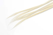 Turkey biots - Light Cahill