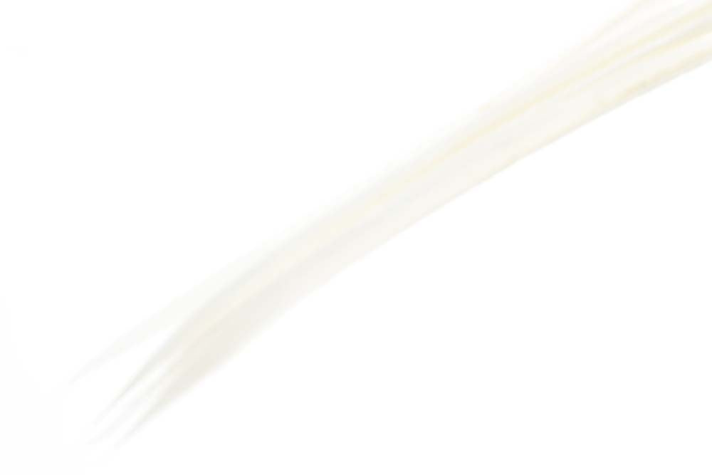 Turkey biots - White