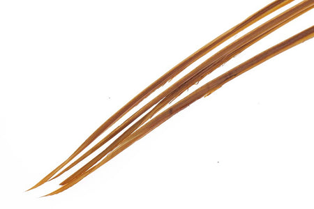 Du tilføjede <b><u>Truthahnbioten - March Brown</u></b> til kurven.