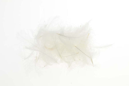 Du tilføjede <b><u>Flyco Cul De Canard - Weiß</u></b> til kurven.