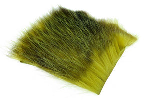 US-Opossum – Goldene Olive
