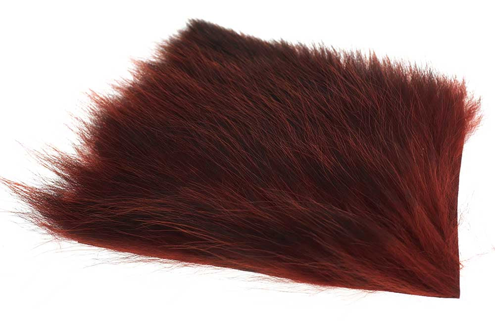 US Opossum - Fiery Brown (Phatakorva)