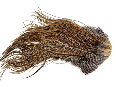 Du tilføjede <b><u>(Bronze-Qualität) Whiting Red Label Sattel - Cree</u></b> til kurven.