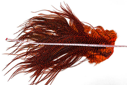 Du tilføjede <b><u>Whiting Euro-Sattel - Grizzly Orange </u></b> til kurven.