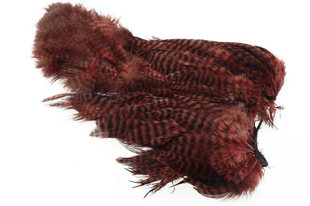 Du tilføjede <b><u>Brauner Grizzly-Körper, Marabu-Fleck</u></b> til kurven.