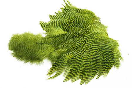 Du tilføjede <b><u>Ewing Chartreuse Grizzly Body Marabou Patch</u></b> til kurven.