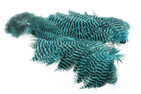 Du tilføjede <b><u>Ewing-Eisvogel, Blauer Grizzlybär, Körper-Marabu-Fleck</u></b> til kurven.