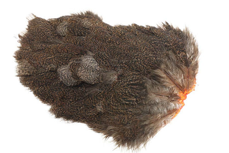 Du tilføjede <b><u>Whiting Coq de leon Hen Saddle - Gesprenkeltes Lachsrosa</u></b> til kurven.