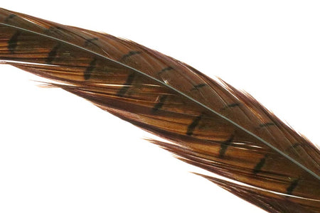 Du tilføjede <b><u>Fasanenschwanz, 1 Paar – Natur</u></b> til kurven.