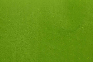 Virtual Nymph Flexi-Body – Medium Olive