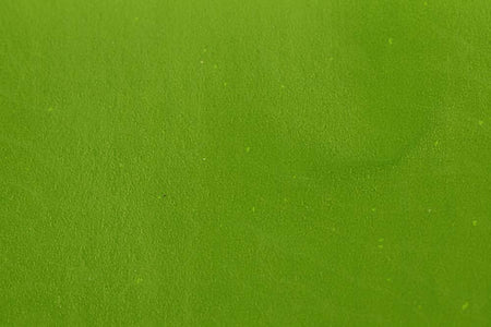 Du tilføjede <b><u>Virtual Nymph Flexi-Body – Medium Olive</u></b> til kurven.