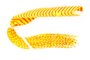 Barred Round Rubber Legs - Orange/Yellow (FL.)