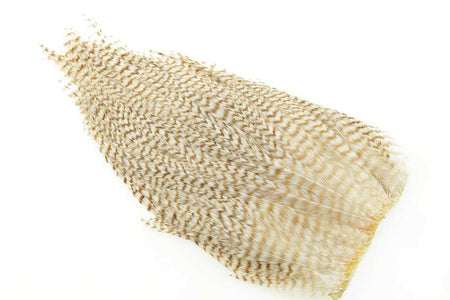 Du tilføjede <b><u>Ewing #1 Gebleichter Grizzly Deceiver Patch</u></b> til kurven.