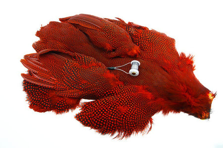 Du tilføjede <b><u>Whiting Perlhuhn, ganzer Vogel - Ed</u></b> til kurven.