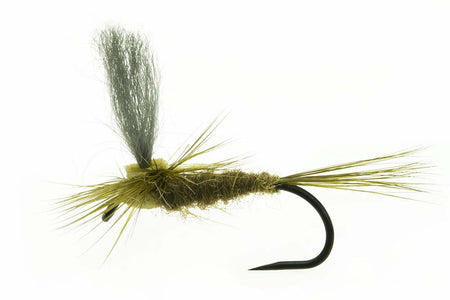 Du tilføjede <b><u>Materialset - Beatis Rhodani Fallschirm</u></b> til kurven.