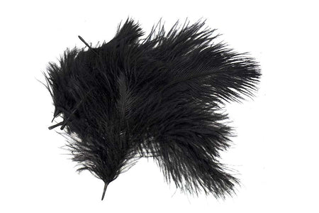Du tilføjede <b><u>Mikro-Straußenfedern - Schwarz</u></b> til kurven.