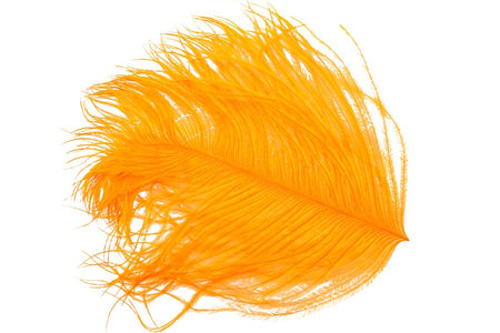 Du tilføjede <b><u>Straußengras - Orange</u></b> til kurven.