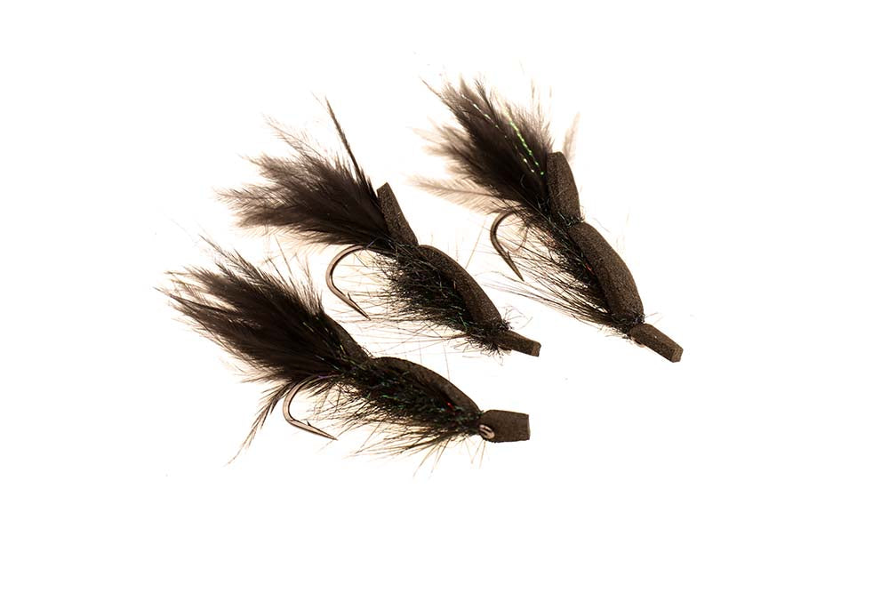 Skumfidus Natflue kyst