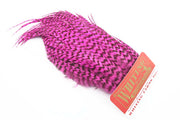 Whiting Bugger Pack - Grizzly Pink