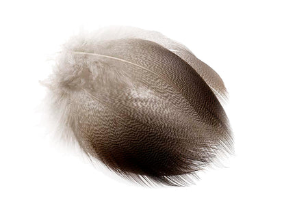 Du tilføjede <b><u>Stockente - Bronze natürlich</u></b> til kurven.