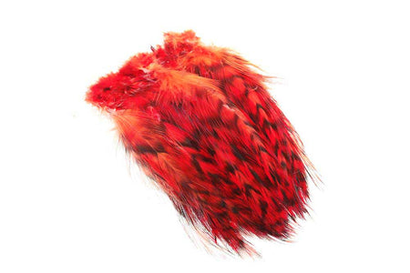 Du tilføjede <b><u>Cock Hackler Grizzly - Rot</u></b> til kurven.
