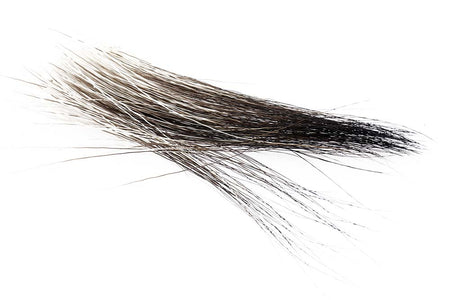 Du tilføjede <b><u>Elchmähne</u></b> til kurven.