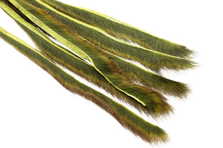 Du tilføjede <b><u>Kiefernhörnchen - Olive</u></b> til kurven.