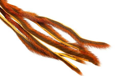 Du tilføjede <b><u>Kiefernhörnchen - Orange</u></b> til kurven.