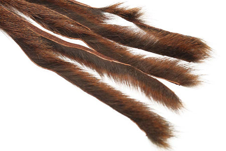 Du tilføjede <b><u>Kiefernhörnchen - Rost</u></b> til kurven.