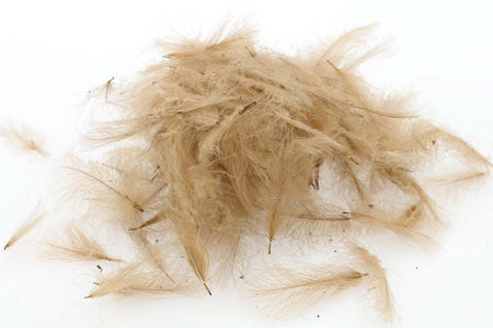 Du tilføjede <b><u>Schweizer CDC-Standard – Pale Pardo 18</u></b> til kurven.