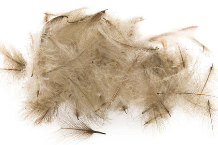 Du tilføjede <b><u>Schweizer CDC-Standard – Khaki Campbell 5</u></b> til kurven.