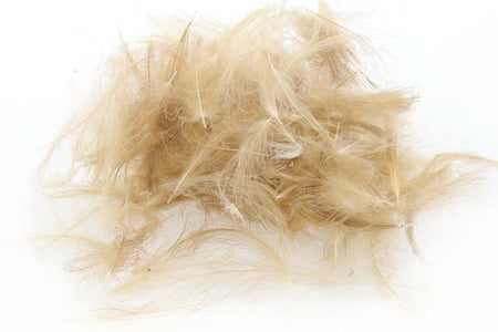 Du tilføjede <b><u>Schweizer CDC-Standard – Hellbraun 4</u></b> til kurven.
