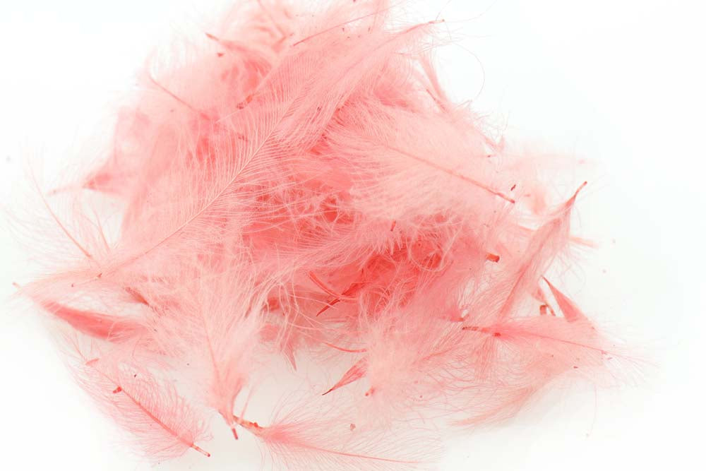 Swiss CDC Standard - Light Pink 30