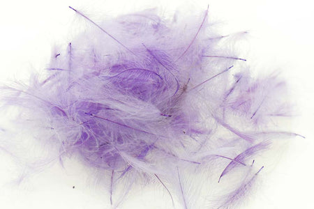 Du tilføjede <b><u>Schweizer CDC-Standard – Violett 32</u></b> til kurven.