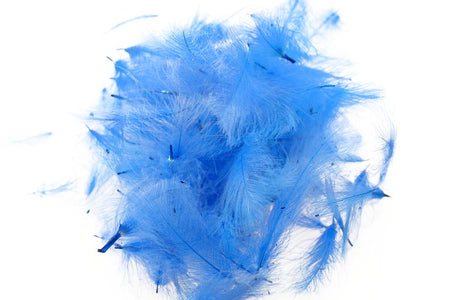 Du tilføjede <b><u>Schweizer CDC-Standard - Blue King 36</u></b> til kurven.