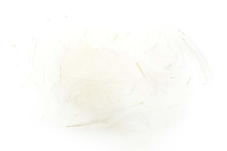 Du tilføjede <b><u>Schweizer CDC-Standard – Weiß 1</u></b> til kurven.