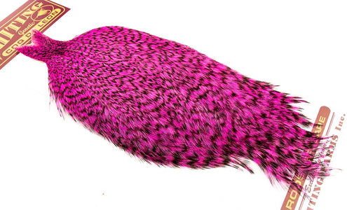 Du tilføjede <b><u>Whiting Coq de leon Cape - Grizzly Dyed Pink</u></b> til kurven.