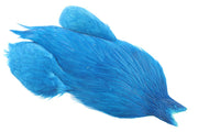 4B Whiting Rooster Cape - Kingfisher Blue