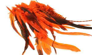 Giga Keough Hecht Schlappenpackung - Orange 