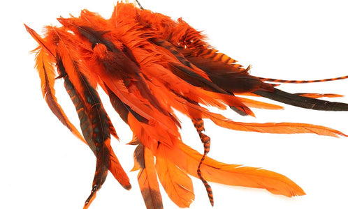 Du tilføjede <b><u>Giga Keough Hecht Schlappenpackung - Orange </u></b> til kurven.